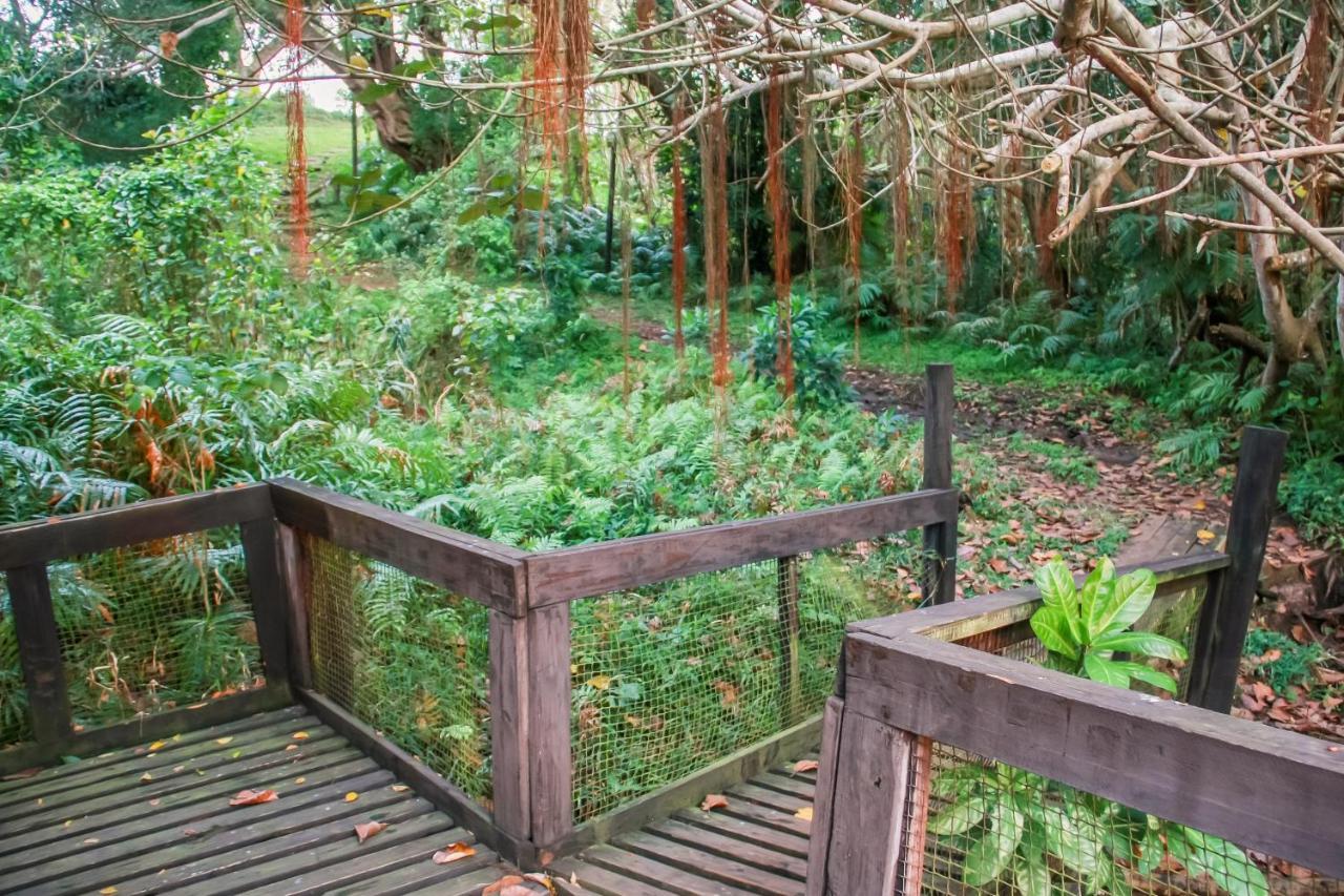 Appartamento 18 The Bridge, Saint Lucia Estuary Esterno foto